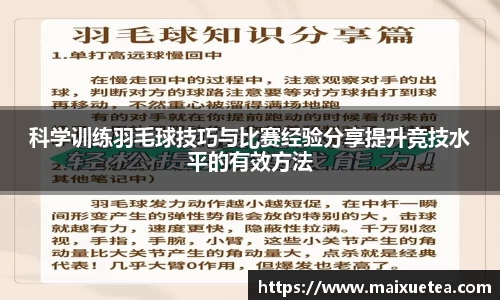 星空综合官网