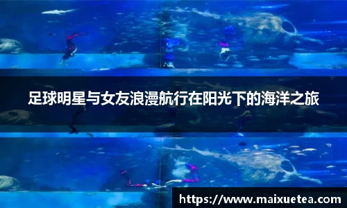 星空综合