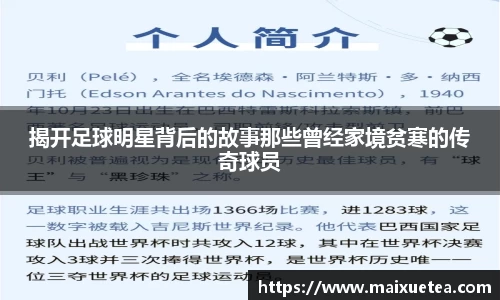 星空·综合体育