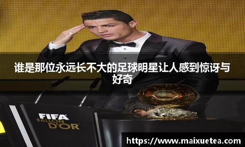 星空·综合体育官方网站